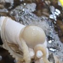 대일수산 네이버블로그