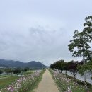 호국로 | 칠곡낙동강평화축제 2025 호국로걷기체험 전투전승행사 전설의 귀환 후기