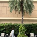 런던헬스사우나 이미지