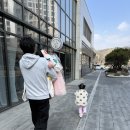 0 주공@201동옆 | [러뷰 스튜디오] 안양 채광맛집 감성 베이비 스튜디오ㅣ하율·서율 자매촬영 후기 :)