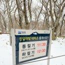 진달래자판기