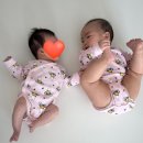 신방도서관 | 천안 룸식당 무이정 천안신방점, 아기랑 편했던 내돈내산 후기