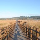 백우주유소 이미지