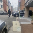 헤일비플라워 | 공릉 공리단길 꽃집 헤일비 플라워 내돈내산 후기