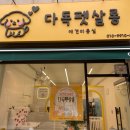 다독펫살롱 네이버블로그