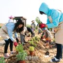 텃밭가꾸기 이미지