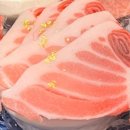 참치연 이미지