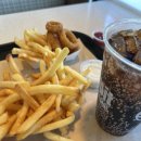 헤빗(Habit)