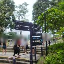 (주) 수퍼트리 | 가든스바이더베이 소요 시간, 가는 길, 플라워돔, 클라우드포레스트, 가든스바이더베이 식당, 슈퍼트리쇼