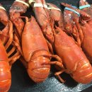 안성실내바다낚시터 이미지