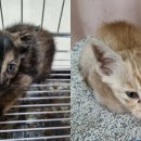 전주21세기병원 이미지