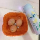 중앙해수랜드 이미지