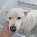 신남케어 이미지