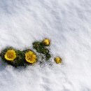 당거리농장 이미지