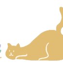 안녕고양이 이미지