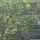 공릉동 카페거리 어빌리티커피 디카페인 커피와 버터떡 후기