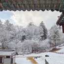 길과함께 | 눈 내린 주말☃️ 광릉숲길과 함께 걷는 고요한 광릉 산책 후기