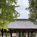 금레당 네이버블로그
