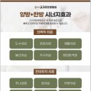 진자동차병원 이미지