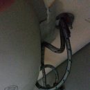 전진타운어린이집 이미지