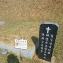 341 이미지