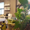 아트앤스테이 호스텔 이미지