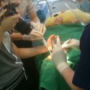 수완노블치과의원 이미지