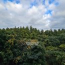 영구노래연습장 이미지