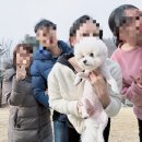 VILLA de LOUIS 이미지