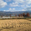 고리봉농장 이미지