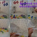 플라이투더뭉 이미지