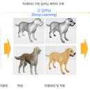 이삭애견훈련소 굿모닝경제