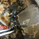 왕손김밥 이미지