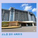 동양콘도미니엄 | 소노캄 경주 조식 디럭스 스위트 숙박후기