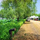 합덕연지마을 이미지