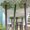 태백고생대자연사박물관 이미지