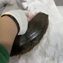 연아수산 이미지