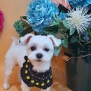 제이앤제이그루밍 이미지