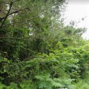 회수동-7 이미지