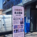 세븐일레븐 봉천해주점 | 서울 관악 자하생식 효소찜질 봉천 본점, 릴스 핫플 한 달 전 예약해서 엄마랑 독소 붓기빼고 온 솔직 후기