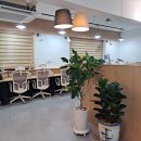 뉴럭키 스터디카페 이미지