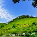 보성민박 이미지