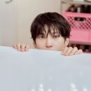 레오온