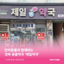 경북제일약국
