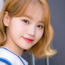 채원 Daum카페