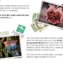 카마노