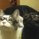 자유안경 이미지