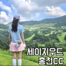 광석로 | 세이지우드 홍천CC 1부 라운딩후기 - 비전&gt;챌린지 코스, 그린피 전재준 골프장