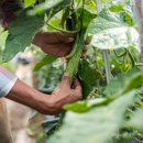 화영농장2 이미지