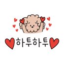 필유동물메디컬센터 이미지